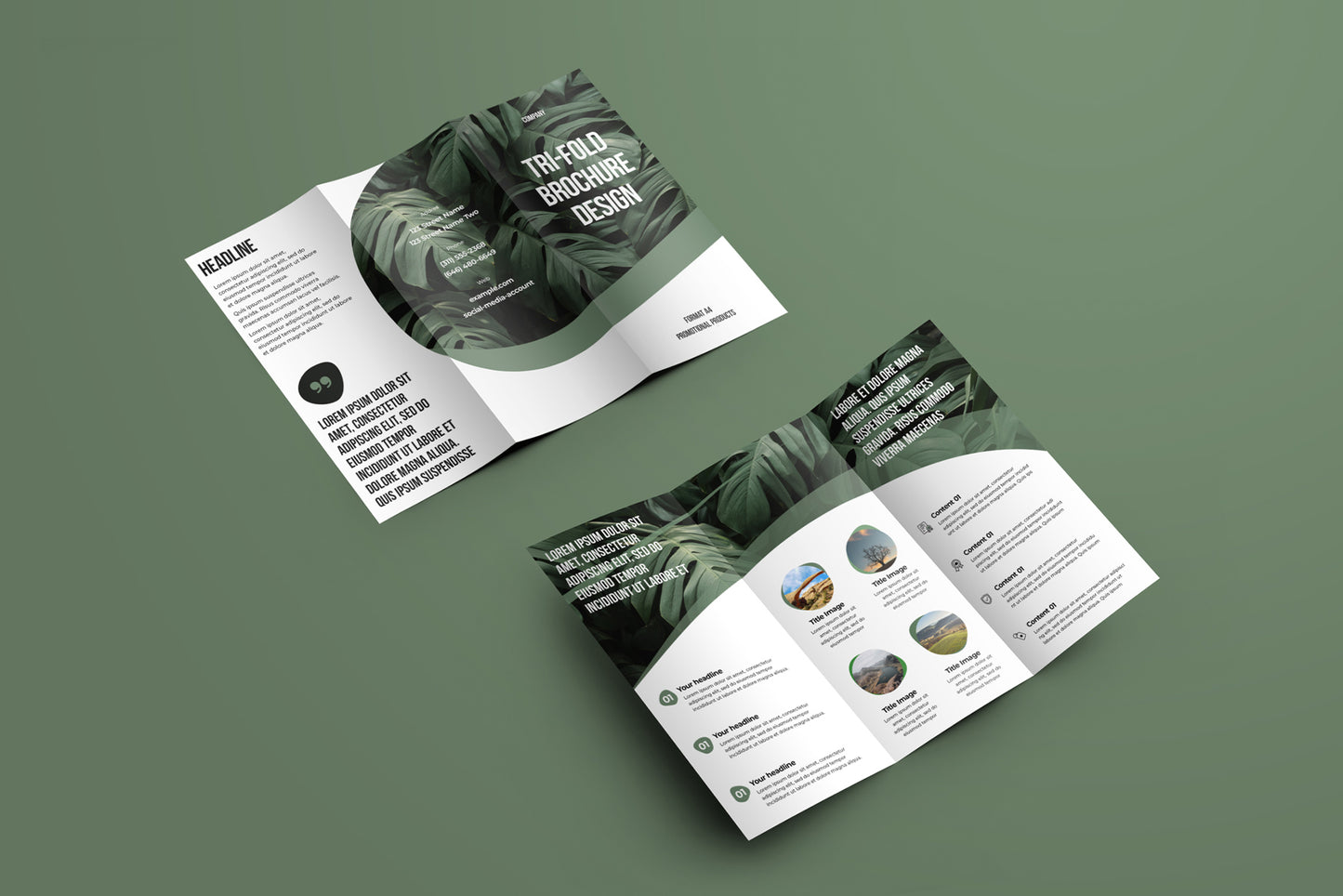 7 Mockups Leafleat DL Trifold Brochure