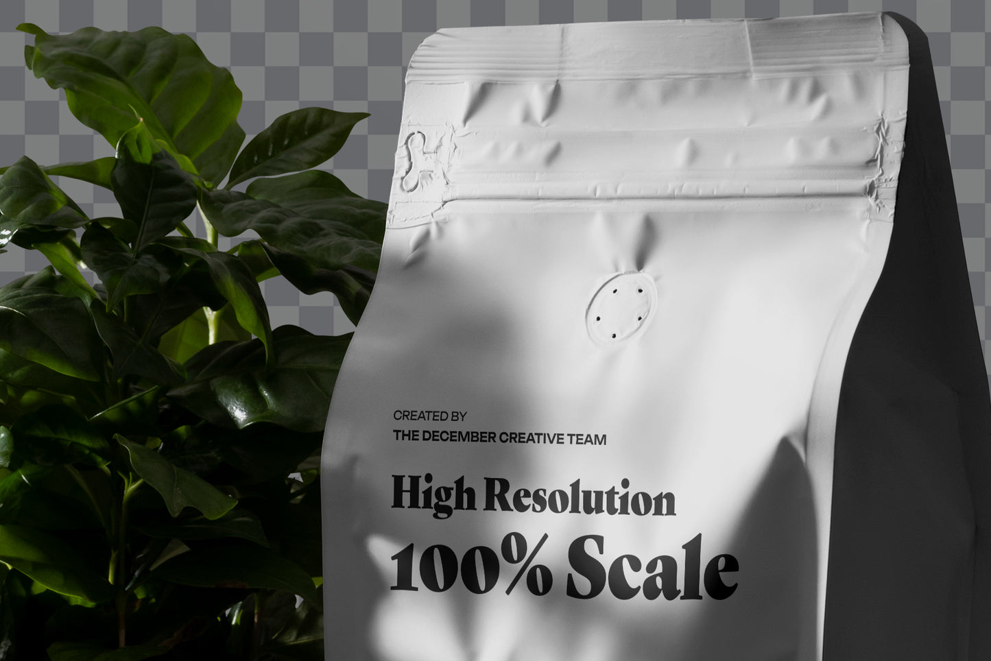 9 Coffee Packaging Mockups with Arabica Tree